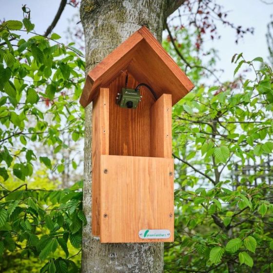 Kit complet Nichoir oiseaux avec caméra Wifi