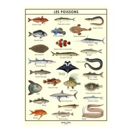 Poster Les poissons