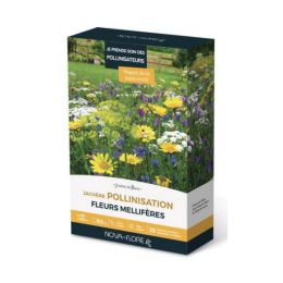 Prairies fleuries : Jachère je prend soin des pollinisateurs