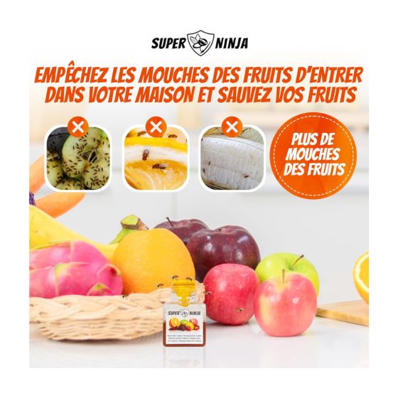 Pièges (x2) contre les mouches des fruits (drosophile)