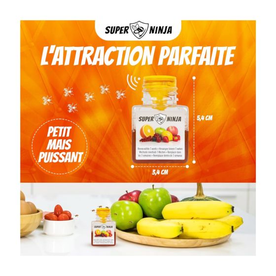 Pièges (x2) contre les mouches des fruits (drosophile)