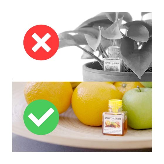 Pièges (x4) contre les mouches des fruits (drosophile)