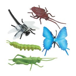 Insectes - Tube safari Ltd