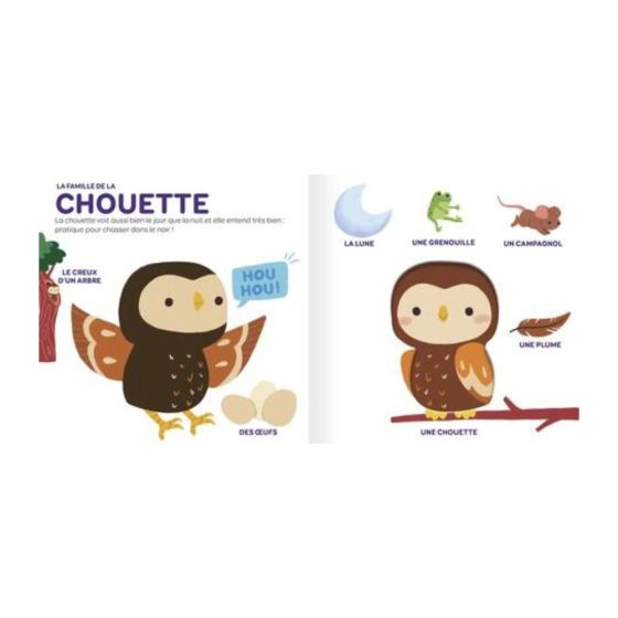 Les animaux de la forêt