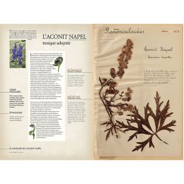 L'herbier oublié