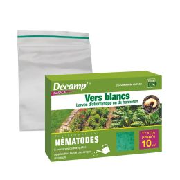 Nématodes anti vers Blancs, otyorinques et hannetons 5 Millions - 10 m2