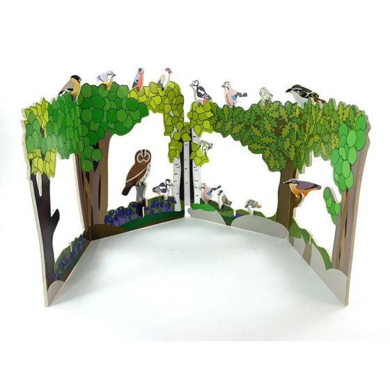 Playpress : kit de jeux Oiseaux des bois et forêts