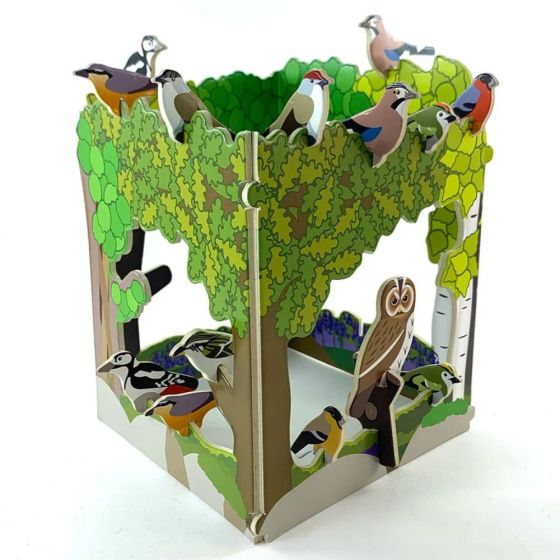 Playpress : kit de jeux Oiseaux des bois et forêts