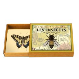 J'apprends à reconnaître les insectes et autres petites bêtes