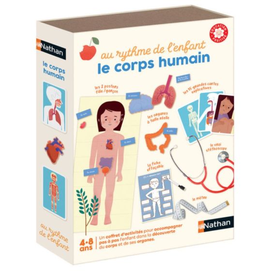 Le corps humain