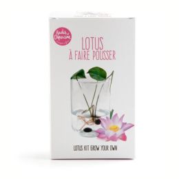 Garden set - Lotus zen