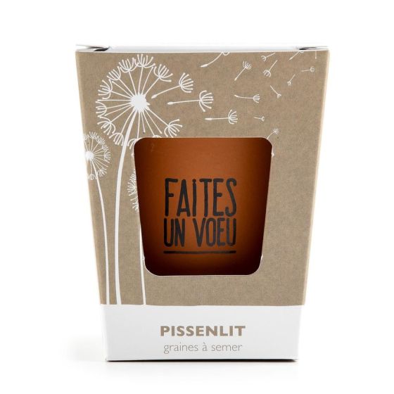 Kit message Faites un voeu - Pissenlit Kit message Faites un voeu - Pissenlit