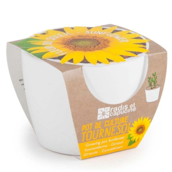 Pot de culture en céramique - Tournesol Bio - 8 cm