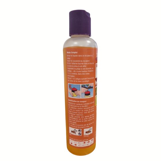 Liquide attractif contre la mouche asiatique