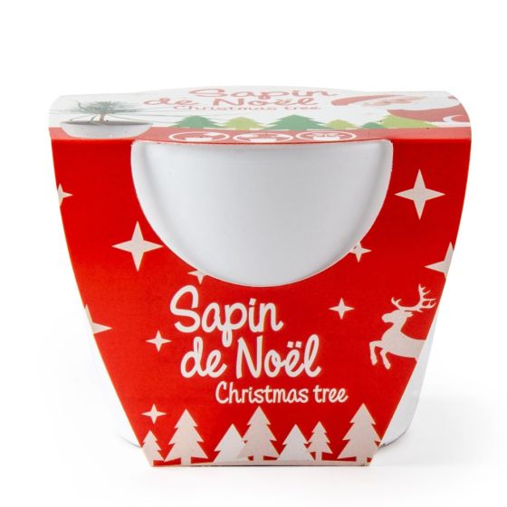 Pot de culture en céramique - Noël - Épicéa - 8 cm