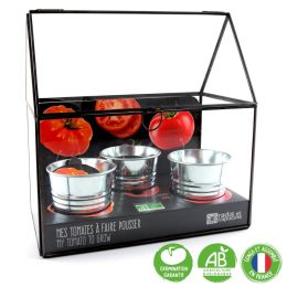 Serre avec châssis zinc noir - Tomates bio - 3 pots