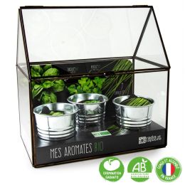 Serre avec châssis zinc noir - Aromates bio - 3 pots