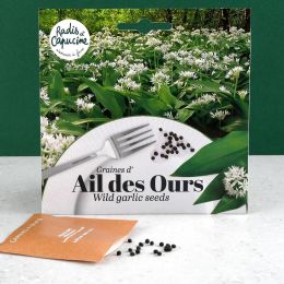 Sachet graines fleurs comestibles - Ail des ours