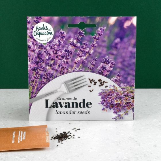 Sachet graines fleurs comestibles - Lavande