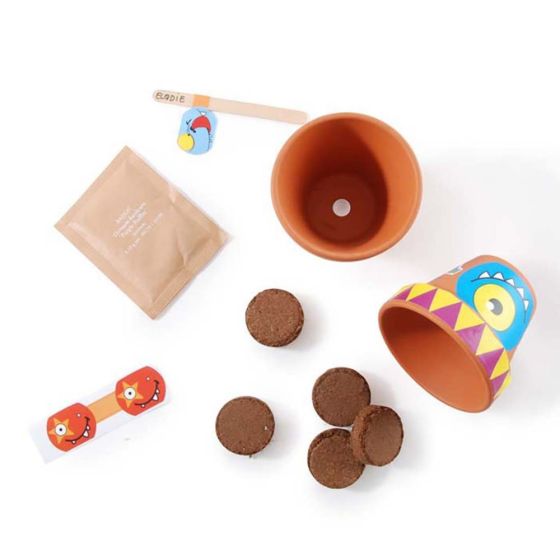 Coffret anniversaire - 10 petits pots monstres