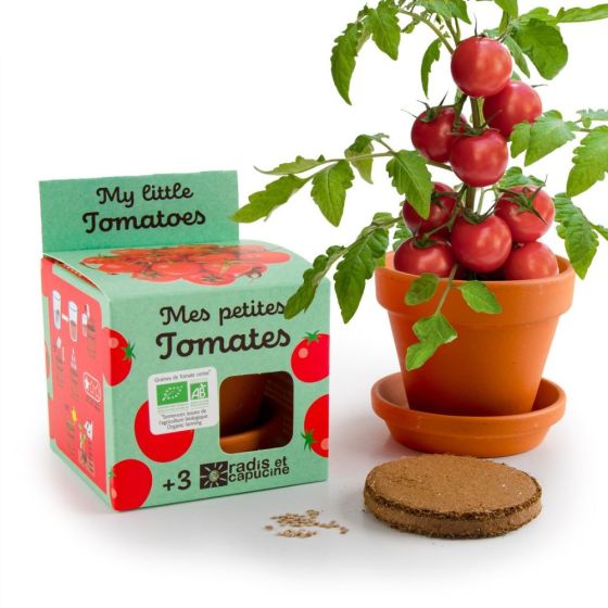 Kit plantation - Tomates Cerise bio - 8cm