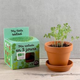 Kit plantation - Salade de cresson bio - 8cm