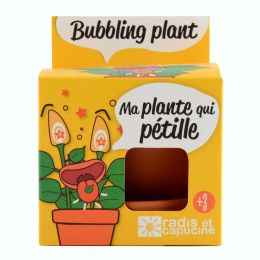 Pot avec coupelle - Plante qui pétille - 8 cm