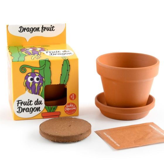 Pot avec coupelle - Fruit du dragon - 8 cm