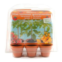 Mini serre 6 pots - Tomates bio à faire pousser