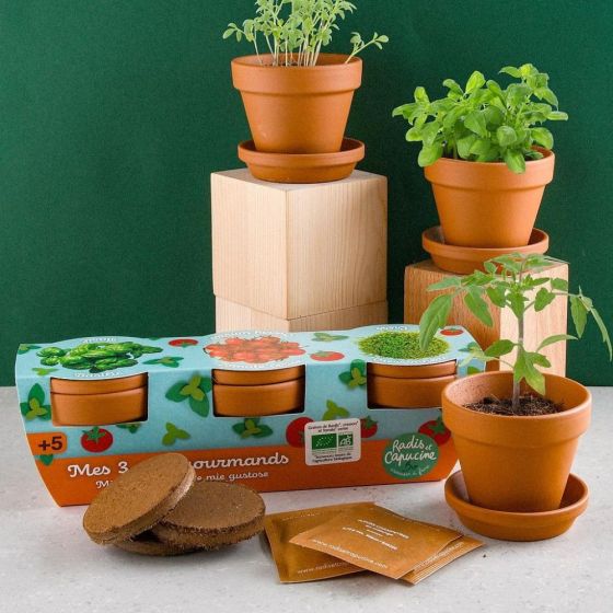 Trio 3 pots - Plantes gourmandes bio