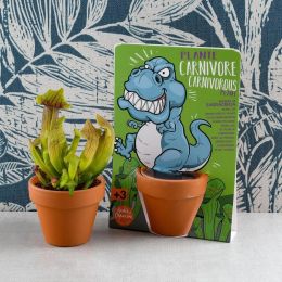 T-rex dinosaure et plantes carnivores à semer - Carte avec pot
