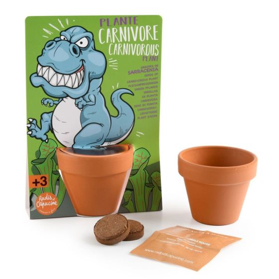 T-rex dinosaure et plantes carnivores à semer - Carte avec pot