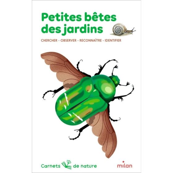 Carnet de nature : petites bêtes des jardins