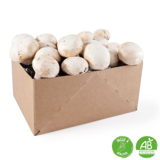 Kit de culture - Champignons de Paris Blanc - 4L