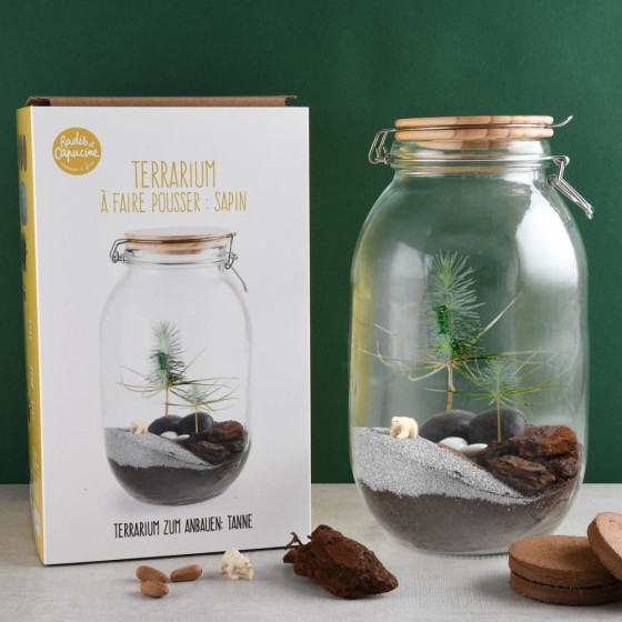 Terrarium à faire soi même - Sapin de Noël et Ours blanc