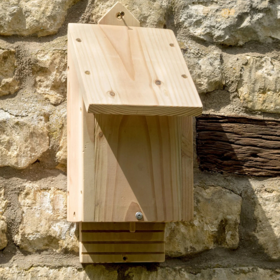 Habitat simple pour Chauve souris