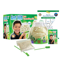 Habitat d'observation pour fourmis