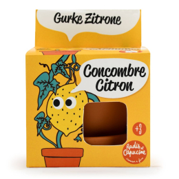 Kit pot terre cuite 8 cm - Concombre citron