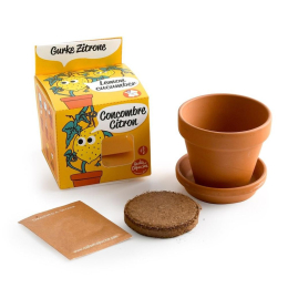 Kit pot terre cuite 8 cm - Concombre citron