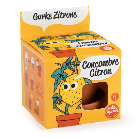 Kit pot terre cuite 8 cm - Concombre citron