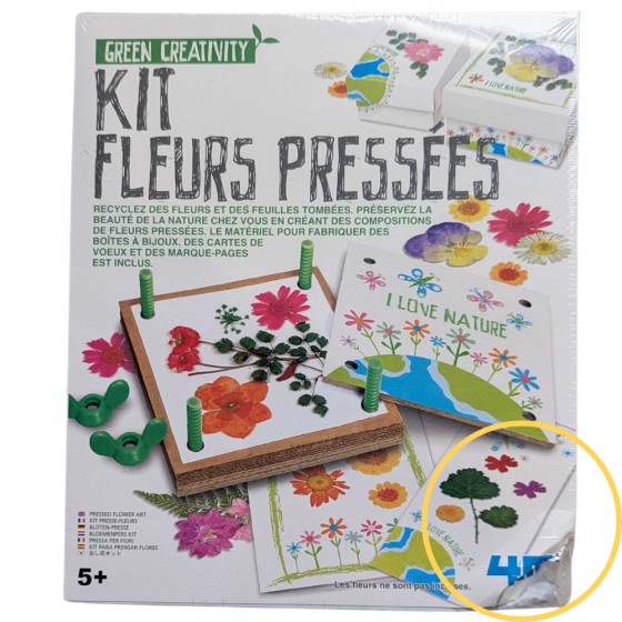 Kit fleurs pressées - Seconde vie