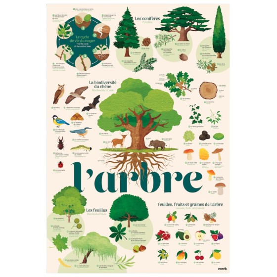 Poster découverte avec stickers Les arbres Poster découverte avec stickers Les arbres