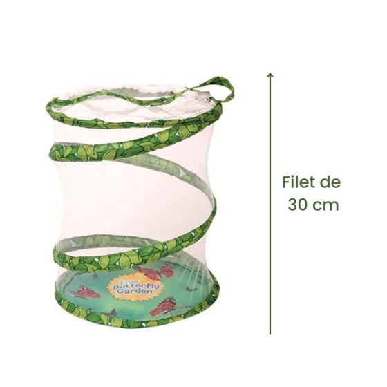 Kit d'élevage de papillons Garden - Chenilles incluses