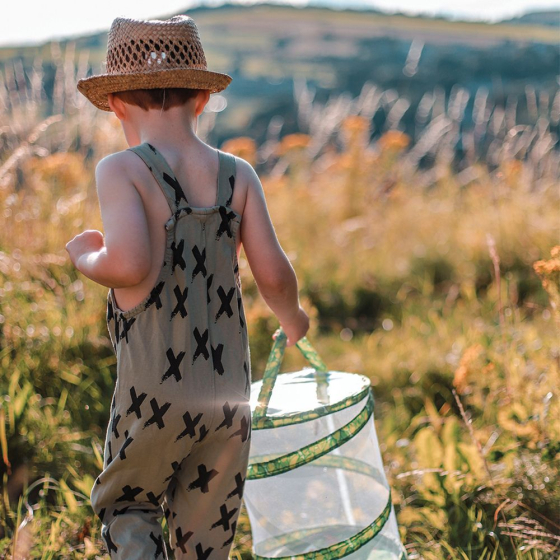 Kit d'élevage de papillons Garden - Bon pour chenilles