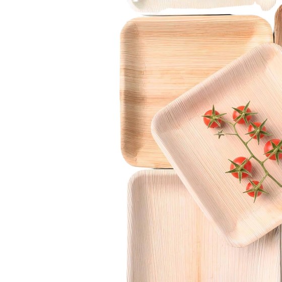 Assiettes jetables en palmier - Lot de 25 - 17 x 17 cm