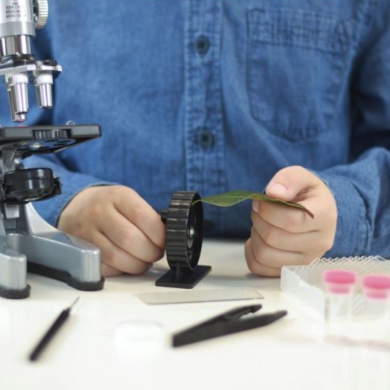 Microscope 30 expériences X 100 à X1000HD