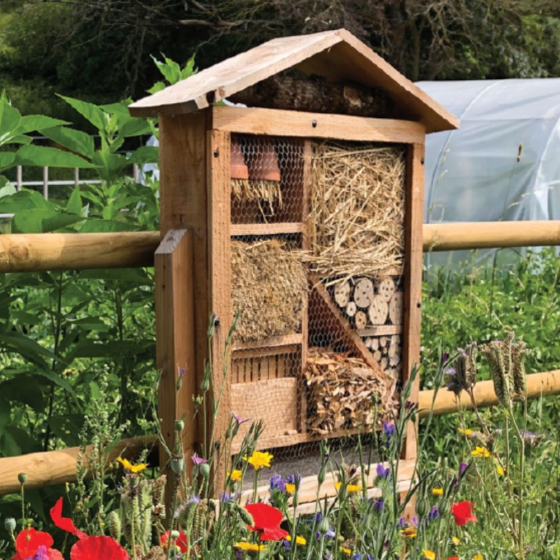 Hôtel à insectes géant - 1,5m