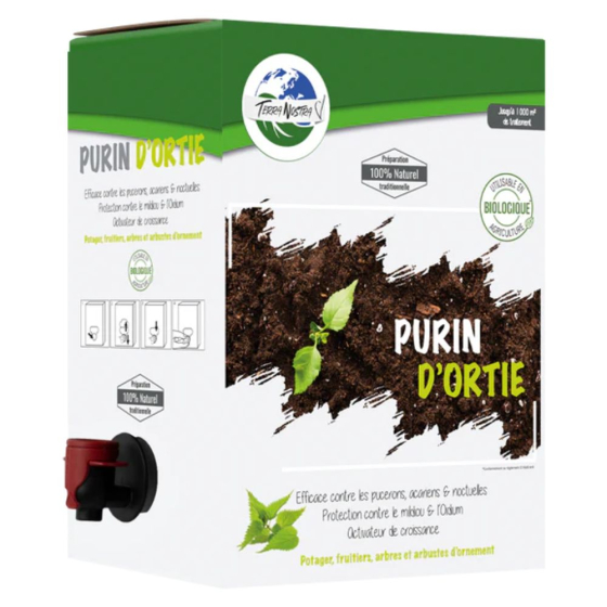Terrarium : habitat pour les petites bêtes