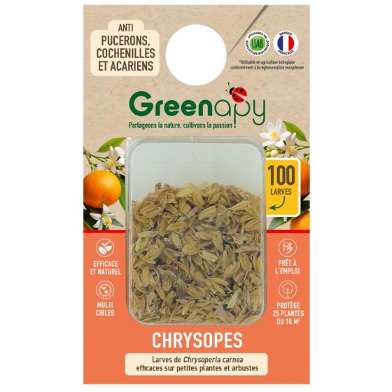 100 larves chrysopes anti-pucerons, cochenilles et acariens