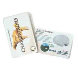 Carnet Champignons